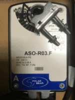 Polar Bear ASO-R03.F