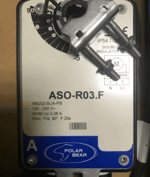 Polar Bear ASO-R03.F