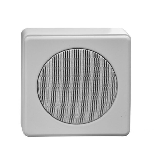 Громкоговоритель настенный Penton SENTRY6/STC
